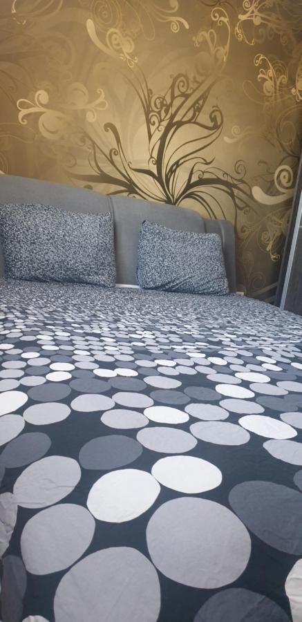 Modern Apartment Pitesti Bagian luar foto
